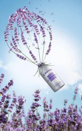 L'Occitane LAVANDE Schiuma Da Bagno All'olio Essenziale Di Lavanda 500ml L'Occitane L'Occitane En Provence