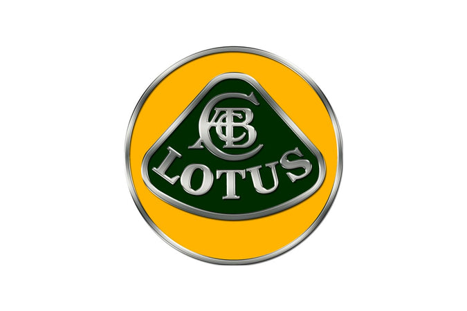 Kit Luci Logo Proiettore Led Incasso 3D 12V 5W Sotto Porta Cortesia LOTUS