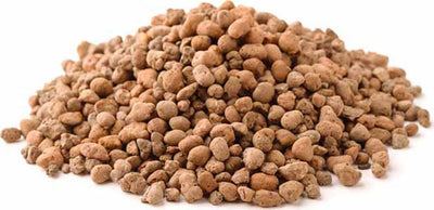 Lt 10 Argilla Espansa Per Drenaggio Piante E Vasi Pacciamante Naturale Giardino e giardinaggio/Giardinaggio/Terra terricci e pacciami/Pacciami La Zappa - Altamura, Commerciovirtuoso.it