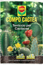 Fertilizzanti per cactus e piante grasse