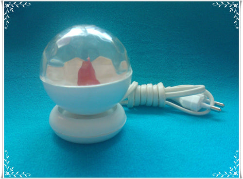 LUCCIOLA A NEON CON CAVO E SPINA 230V.