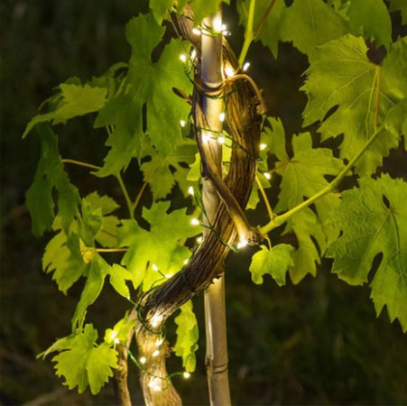 Luci di Natale catena luminosa con micro led decorazione da esterno 12 mt Casa e cucina/Decorazioni per interni/Addobbi e decorazioni per ricorrenze/Decorazioni natalizie/Luci natalizie/Catene luminose per interni MagiediNatale.it - Altamura, Commerciovirtuoso.it