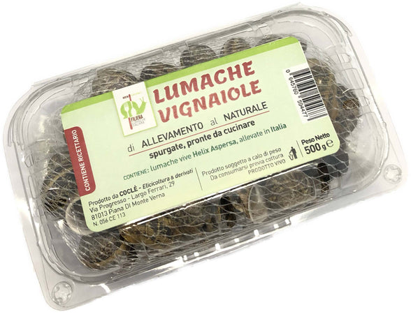 Lumache da Gastronomia Vignaiole Helix Aspersa 11-12 gr. Cad Pronte per la Cottura Filiera Lumache Italiane Coclè