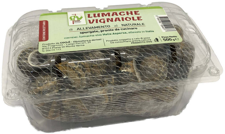 Lumache da Gastronomia Vignaiole Helix Aspersa 11-12 gr. Cad Pronte per la Cottura Filiera Lumache Italiane Coclè