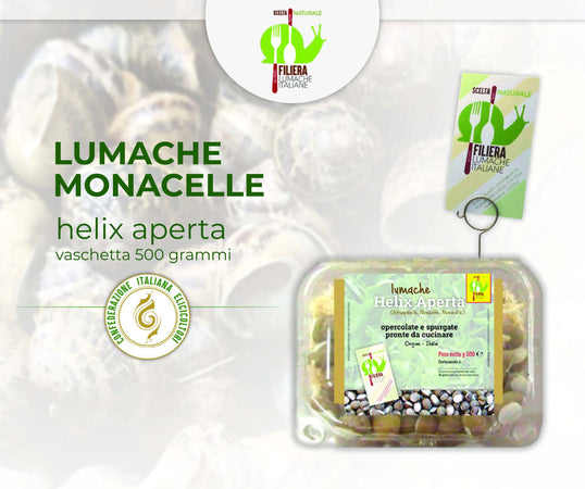 Lumache da Gastronomia Vignaiole Helix Aspersa 11-12 gr. Cad Pronte per la Cottura Filiera Lumache Italiane Coclè