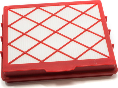LUX 1 -  FILTRO HEPA ASPIRAPOLVERE ELECTROLUX D820 - CODICE RICAMBIO 1050158037 Casa e cucina/Aspirapolvere e pulizia di pavimenti e finestre/Accessori per aspirapolvere/Filtri/Filtri per aspirapolvere a bidone Rossi Ricambi - Venetico Marina, Commerciovirtuoso.it