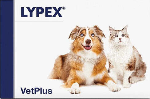 LYPEX-60-CAPSULE