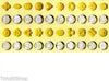 MACCHINA SIRINGA PER BISCOTTI DOLCI FATTI IN CASA CUCINA CAKE DESIGN + FORMINE Casa e cucina/Teglie da forno e accessori per pasticceria/Accessori e utensili per pasticceria/Presse per biscotti Trade Shop italia - Napoli, Commerciovirtuoso.it