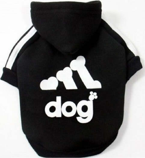 Maglia-Felpata-Con-Cappuccio-Per-Cani-Di-Piccola-Taglia-Vari-Colori