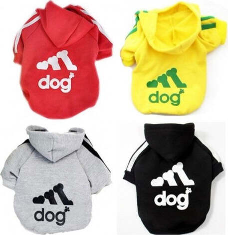 Maglia Felpata Senza Cappuccio Per Cani Di Piccola Taglia Colore Celeste Grigio  Trade Shop italia - Napoli, Commerciovirtuoso.it