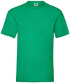 Maglia uomo mezza manica 100% cotone - FR610360