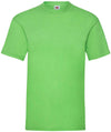 Maglia uomo mezza manica 100% cotone - FR610360