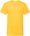 Maglia uomo mezza manica scollo a V 100% cotone - FR610660