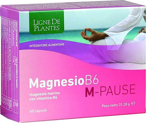MAGNESIO-B6-M-PAUSE-60-CAPSULE