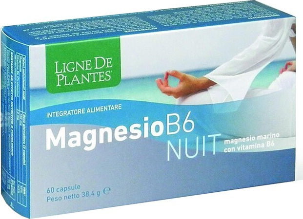 MAGNESIO-B6-NUIT-60-CAPSULE