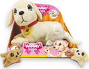 Mammy-Surprise-Cagnolina-Golden-Retriever-Sbabam