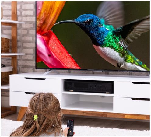 Televisore Smart 32" Pollici HD MANTA 32LHS89T DVB-T2/C H.265/HEVC 10 bit