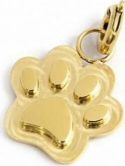 Marlù---CHARM-A-FORMA-DI-ZAMPINA-ORO