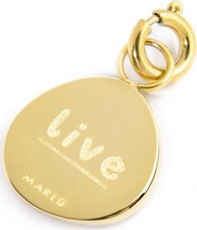 Marlù---CHARM-MEDAGLIETTA-CON-ROSA-DEI-VENTI-E-STRASS-PVD-ORO