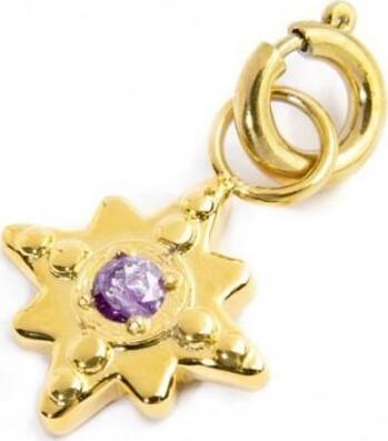 Marlù---CHARM-ROSA-DEI-VENTI-CON-ZIRCONE-VIOLA-PVD-ORO