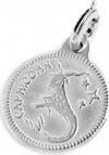 Marlù-CHARM-ZODIACO-CAPRICORNO-ACCIAIO