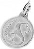 Marlù-CHARM-ZODIACO-CAPRICORNO-ACCIAIO