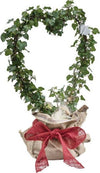MASIDEF---NASTRO-DECORATIVO-IN-JUTA-ROSSO-6X300cm