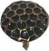 MASIDEF-CONDY-90-BULLETTE-MARTELLATE-SFUMATE-DIAMETRO-mm-10