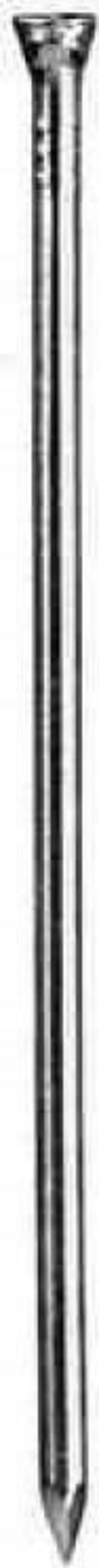 MASIDEF-CONNEX-CHIODI-PER-BATTATTISCOPA-ZINCATI-mm-1,4x30-PZ.80