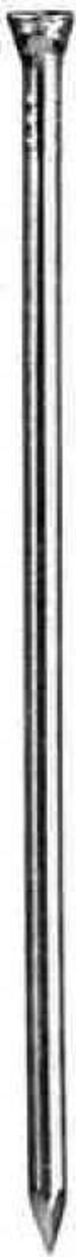 MASIDEF-CONNEX-CHIODI-PER-BATTATTISCOPA-ZINCATI-mm-1,4x45-PZ.50