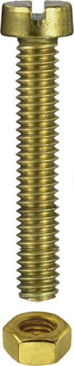 MASIDEF-CONNEX-VITE-OTTONE-TESTA-CILINDRICA-CON-DADO-4X10-MM-PZ.14