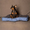 Materasso-per-cane-e-gatto---morbido,-ortopedico.-|-Buggy-MiaSuite