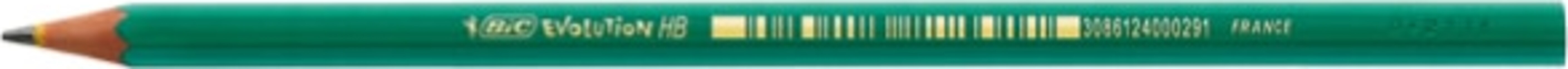Matita in resina Ecolutions Evolution Graphite 650 - gradazione HB - Bic - conf. 12 pezzi Cancelleria e prodotti per ufficio/Penne matite scrittura e correzione/Matite/Matite di legno Eurocartuccia - Pavullo, Commerciovirtuoso.it