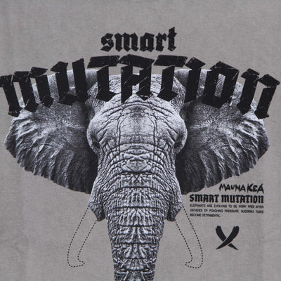 MAUNA-KEA-Maglietta-Uomo-Elephant-Tee-Stone-Washed-Dusty-Grey-da-uomo