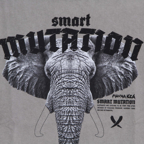MAUNA-KEA-Maglietta-Uomo-Elephant-Tee-Stone-Washed-Dusty-Grey-da-uomo