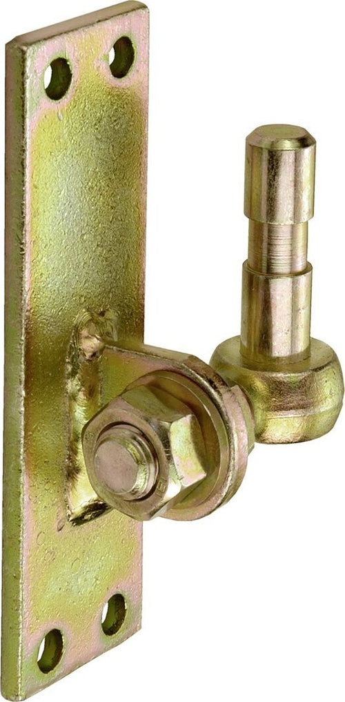 Max-Power-DY2900421-Perno-su-Piastra,-Regolabili