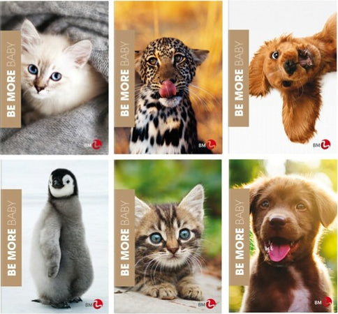 Maxiquaderno Baby be more special - A4 - 38 fogli - 100gr - 1 rigo - BM [multipack] 10 pezzi Cancelleria e prodotti per ufficio/Scuola e materiale didattico/Materiale scolastico/Diari quaderni e block notes Eurocartuccia - Pavullo, Commerciovirtuoso.it