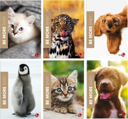 Maxiquaderno Baby be more special - A4 - 38 fogli - 100gr - 1 rigo c- margine - BM [multipack] 10 pezzi Cancelleria e prodotti per ufficio/Scuola e materiale didattico/Materiale scolastico/Diari quaderni e block notes Eurocartuccia - Pavullo, Commerciovirtuoso.it