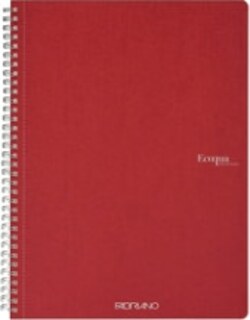 Maxiquaderno EcoQua original - spiralato - A4 - 90gr - 5mm - 70 fogli - rosso scuro - Fabriano [multipack] 5 pezzi Cancelleria e prodotti per ufficio/Scuola e materiale didattico/Materiale scolastico/Diari quaderni e block notes Eurocartuccia - Pavullo, Commerciovirtuoso.it