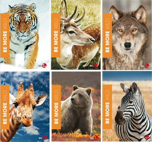 Maxiquaderno Wild be more special - A4 - 38 fogli - 100gr - rigo di 3a - BM [multipack] 10 pezzi Cancelleria e prodotti per ufficio/Scuola e materiale didattico/Materiale scolastico/Diari quaderni e block notes Eurocartuccia - Pavullo, Commerciovirtuoso.it