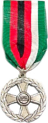 Medaglia Afghanistan - Per La Sicurezza Sport e tempo libero/Accessori/Trofei medaglie e premi/Medaglie Il Distintivo - Pesaro, Commerciovirtuoso.it