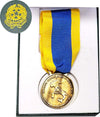Medaglia Alluvione Del Po Con Scatola Repubblica Sport e tempo libero/Accessori/Trofei medaglie e premi/Medaglie Il Distintivo - Pesaro, Commerciovirtuoso.it