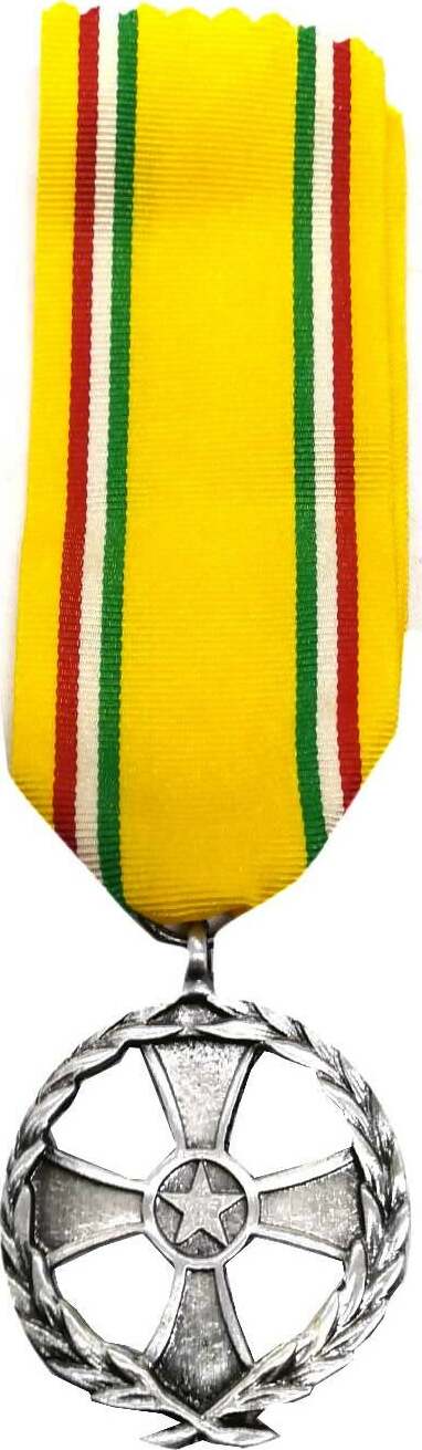 Medaglia Missione Di Pace In Somalia Sport e tempo libero/Accessori/Trofei medaglie e premi/Medaglie Il Distintivo - Pesaro, Commerciovirtuoso.it