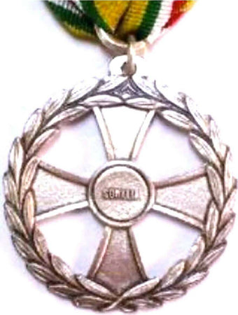 Medaglia Missione Di Pace In Somalia Sport e tempo libero/Accessori/Trofei medaglie e premi/Medaglie Il Distintivo - Pesaro, Commerciovirtuoso.it