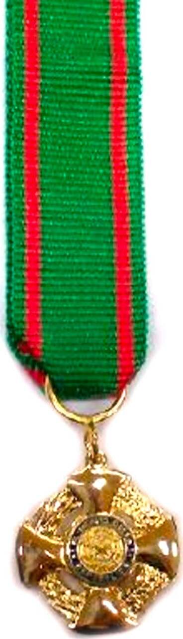 Medaglia / Spilla Da Giacca / Nastrino Da Petto Per Ufficiale Ordine Della Repubblica Per Nomina Da Cavaliere Ufficiale Al Merito Della Repubblica Omri Sport e tempo libero/Accessori/Trofei medaglie e premi/Medaglie Il Distintivo - Pesaro, Commerciovirtuoso.it