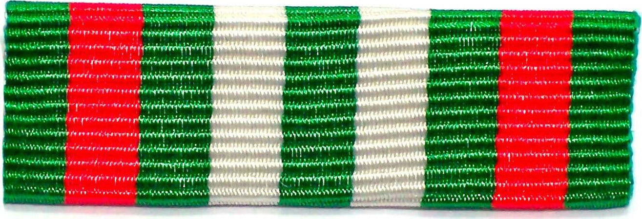 Medaglia Terremoto Marche Umbria - Nastro / Nastrino / Medaglia Sport e tempo libero/Accessori/Trofei medaglie e premi/Medaglie Il Distintivo - Pesaro, Commerciovirtuoso.it