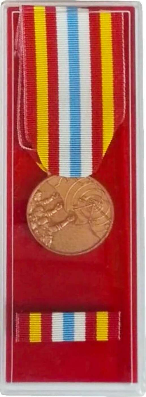 Medaglia Terremoto Terremoto Irpinia 1980 Campania E Basilicata - Nastro / Nastrino / Medaglia Sport e tempo libero/Accessori/Trofei medaglie e premi/Medaglie Il Distintivo - Pesaro, Commerciovirtuoso.it