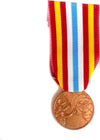 Medaglia Terremoto Terremoto Irpinia 1980 Campania E Basilicata - Nastro / Nastrino / Medaglia Sport e tempo libero/Accessori/Trofei medaglie e premi/Medaglie Il Distintivo - Pesaro, Commerciovirtuoso.it