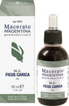 MG-Ficus-Carica-50-ml-Erboristeria-Magentina
