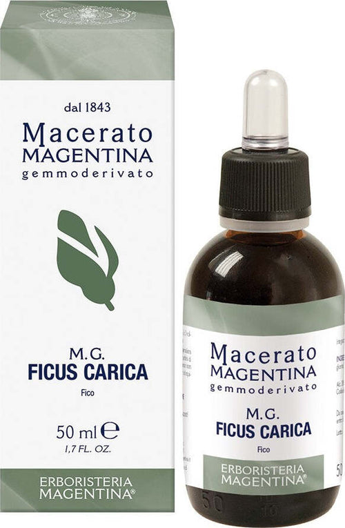 MG-Ficus-Carica-50-ml-Erboristeria-Magentina